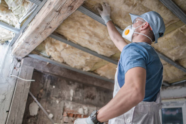 Best Professional Insulation Contractor  in Broad Brook, CT
